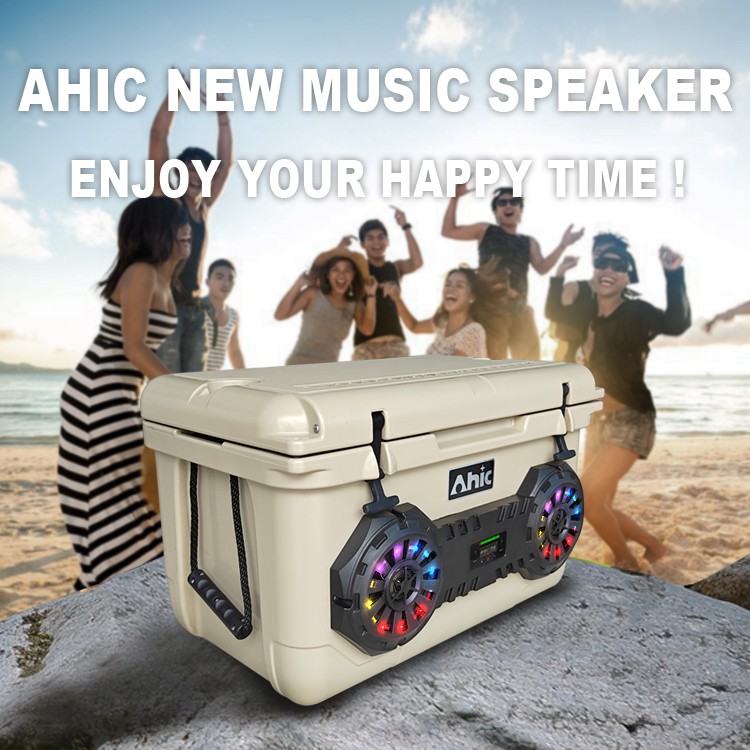 Caixa Térmica Portátil Rotomol - Bluetooth Speaker avaliação e preço